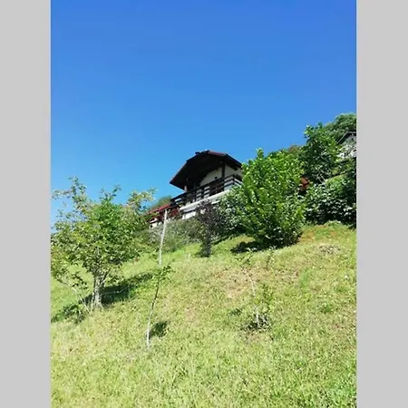 Zidanca Stari Car Wine House Semesterbostad *